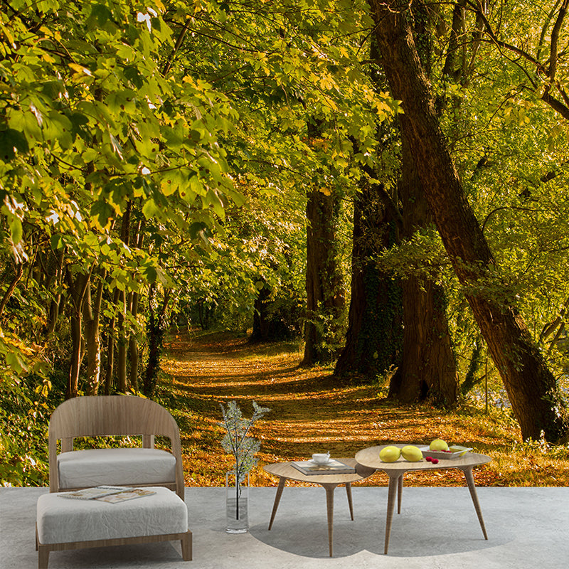 Photographic Autumn Forest Mural Mildew Resistant Wall Decor for House Interior