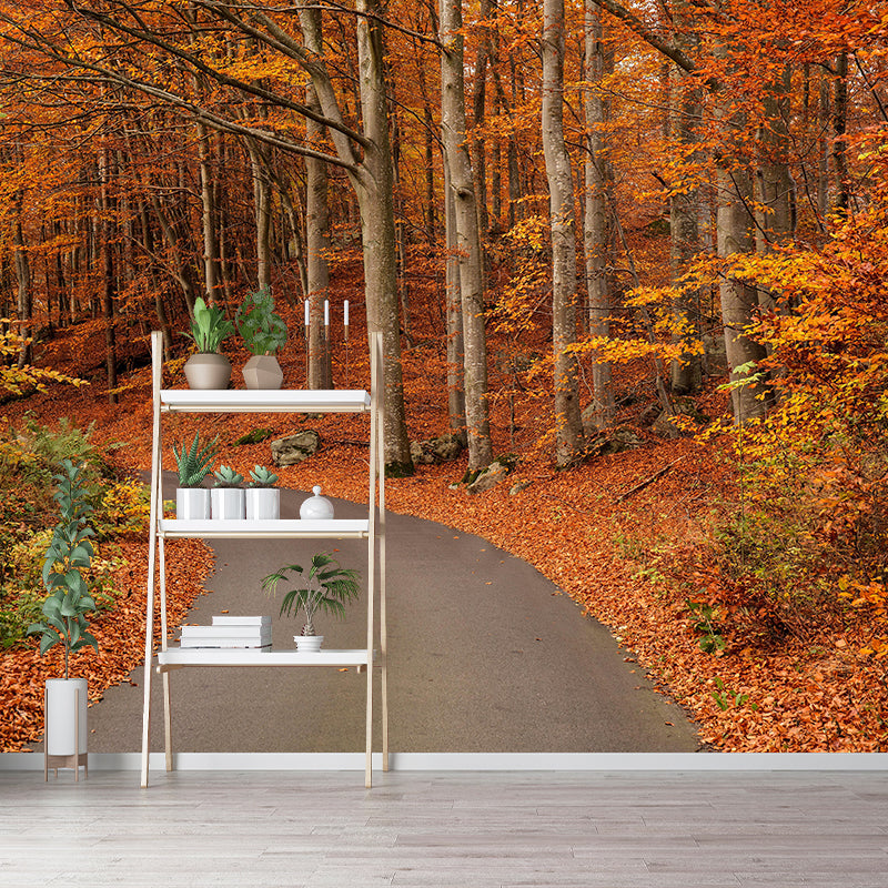 Photographic Autumn Forest Mural Mildew Resistant Wall Decor for House Interior