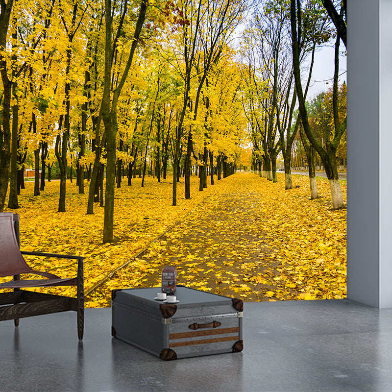 Photographic Autumn Forest Mural Mildew Resistant Wall Decor for House Interior