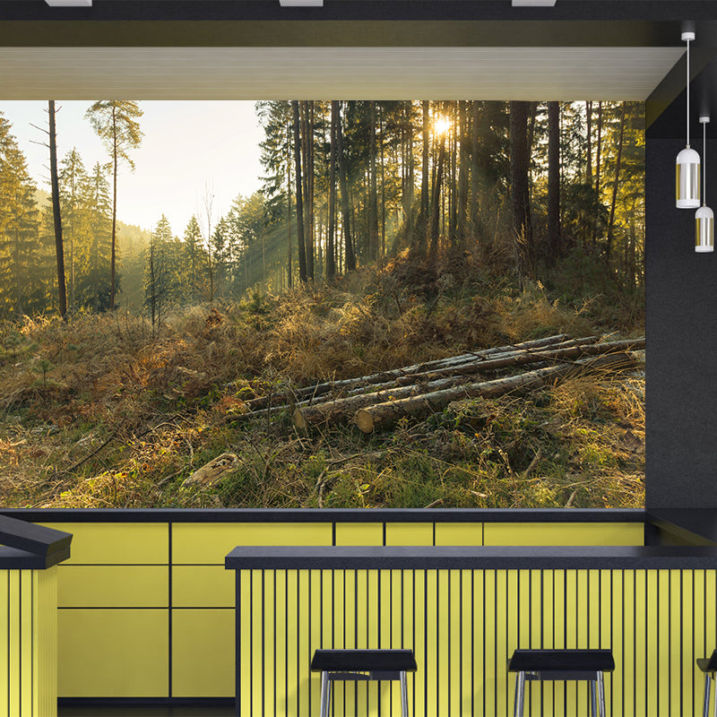 Autumn Forest Scenery Wall Mural Contemporary Home Decor for Sitting Room