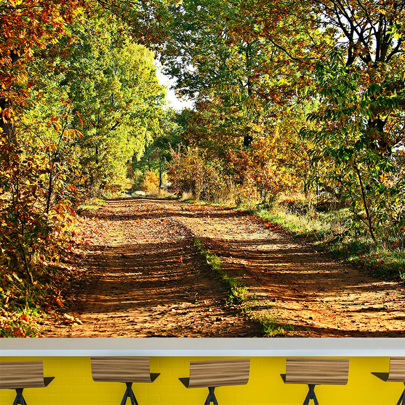 Autumn Forest Scenery Wall Mural Contemporary Home Decor for Sitting Room