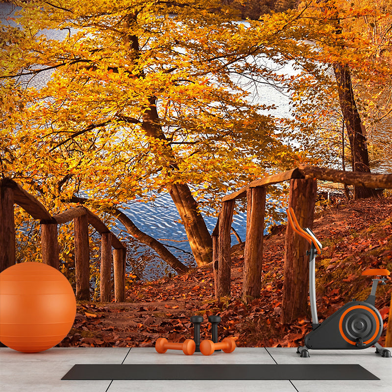 Autumn Forest Scenery Wall Mural Contemporary Home Decor for Sitting Room