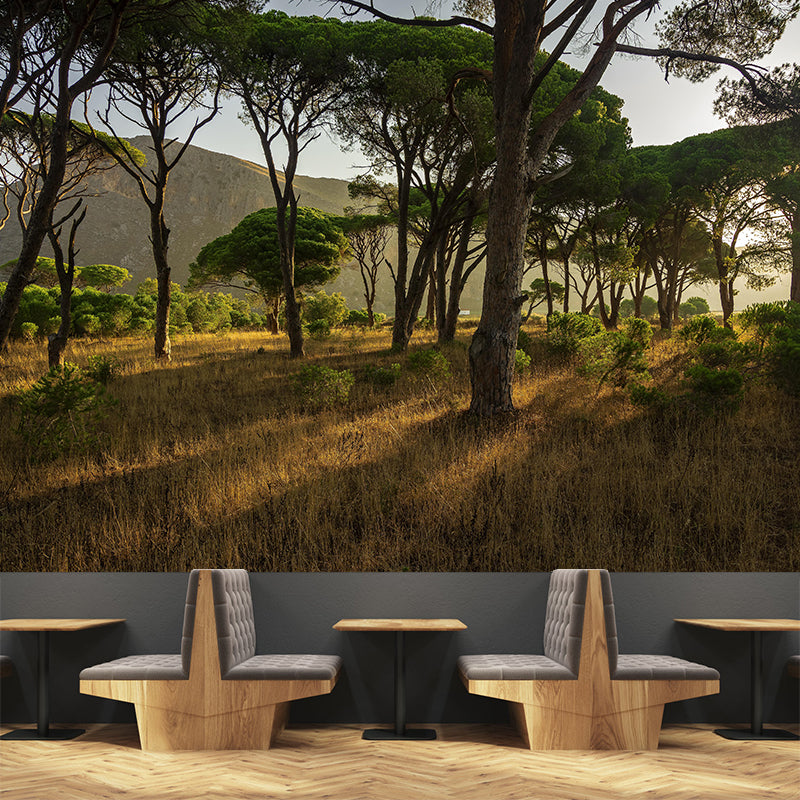 Photographic Summer Forest Mural Mildew Resistant Wall Decor for House Interior