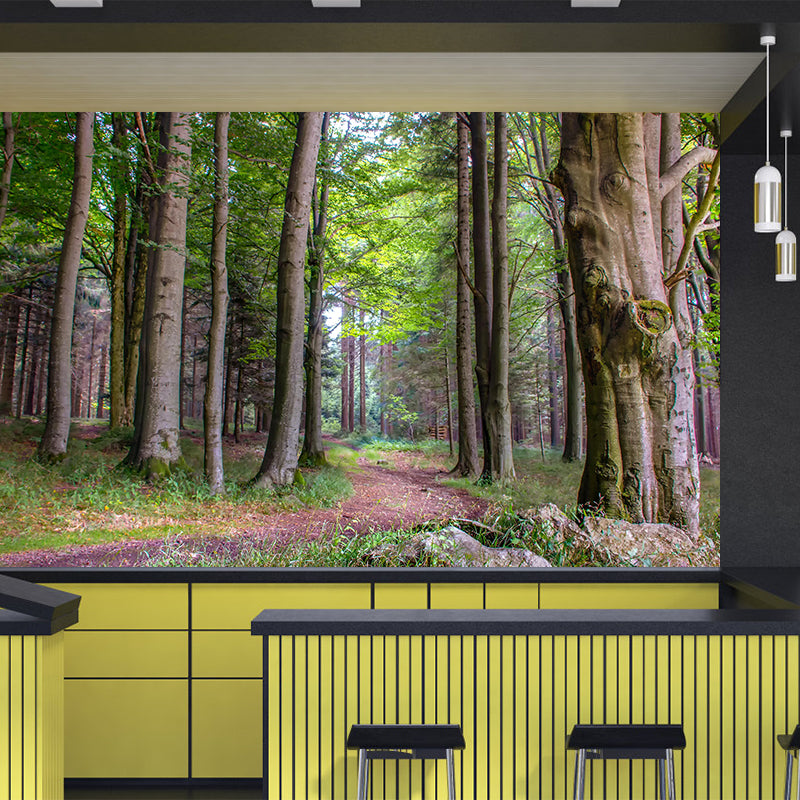 Photographic Summer Forest Mural Mildew Resistant Wall Decor for House Interior