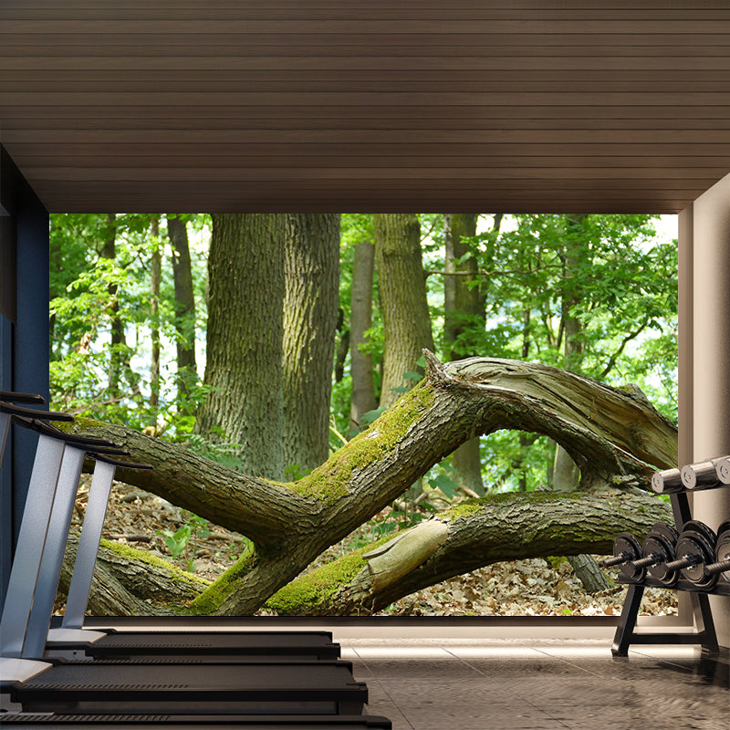 Customized Summer Forest Wall Mural Mildew Resistant Wall Decor for House Interior