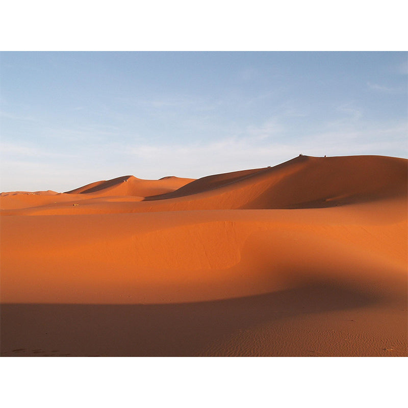 Soft Color Desert Landscape Mural Decal Modern Wall Covering for Sitting Room