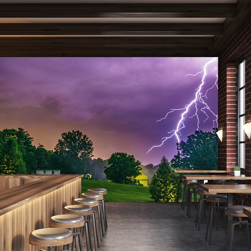 Terrible Lightning Wall Murals Contemporary Photography Style Wall Art for Bedroom
