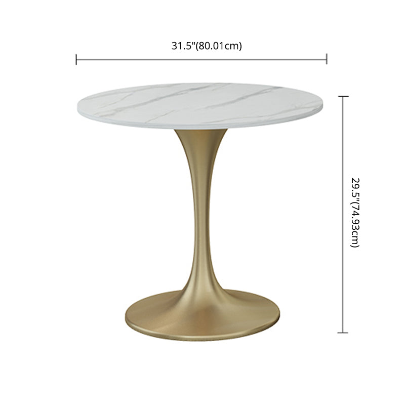 Scandinavian Style Sintered Stone Top Dining Set with Round Table Dining Furniture