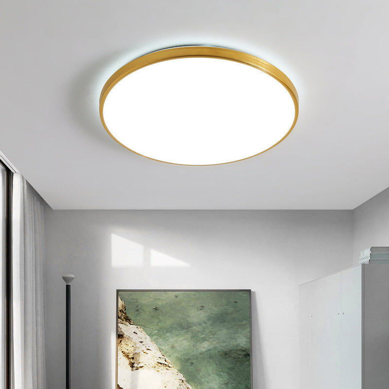 Modern Led Fixture Flush Mount Lighting Fixture Acrilico e Metal Lampshade for Corridor