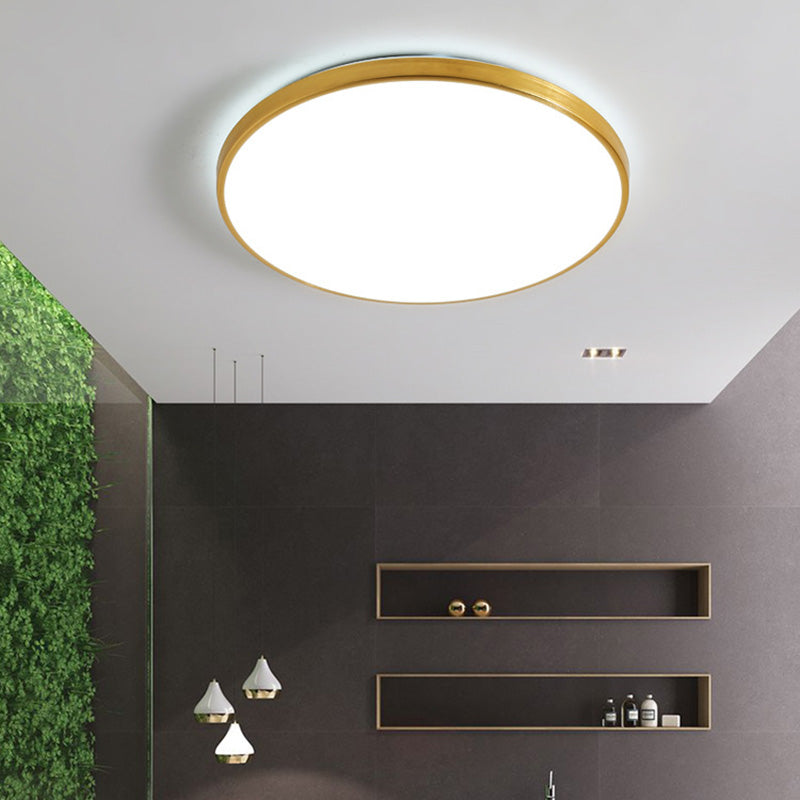 Modern Led Fixture Flush Mount Lighting Fixture Acrylic and Metal Lampshade for Corridor