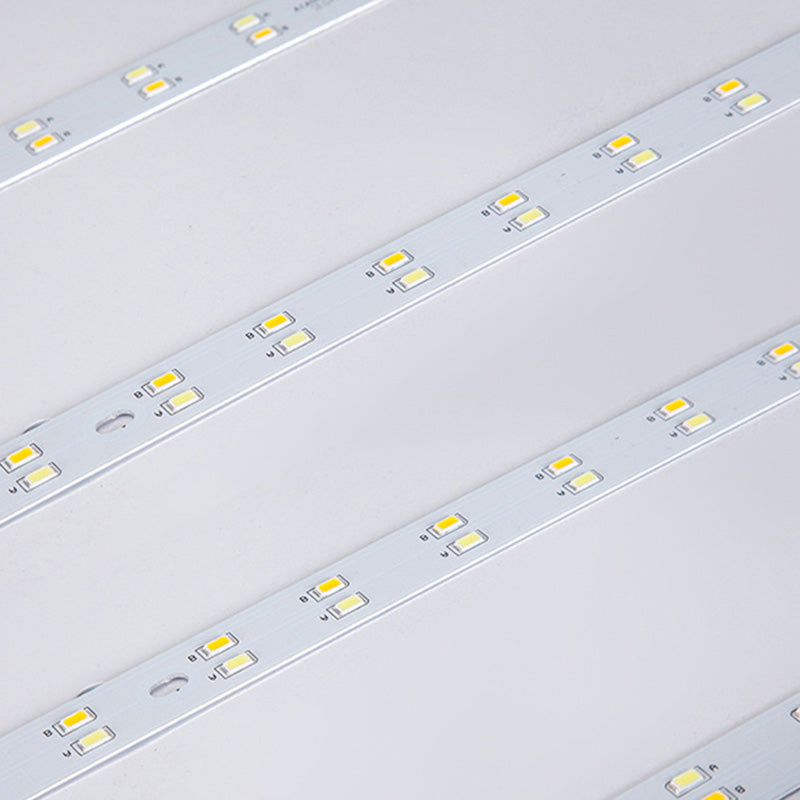 Modern Led Fixture Flush Mount Lighting Fixture Acrylic and Metal Lampshade for Corridor