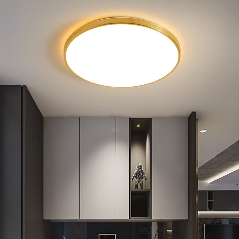 Modern Led Fixture Flush Mount Lighting Fixture Acrylic and Metal Lampshade for Corridor