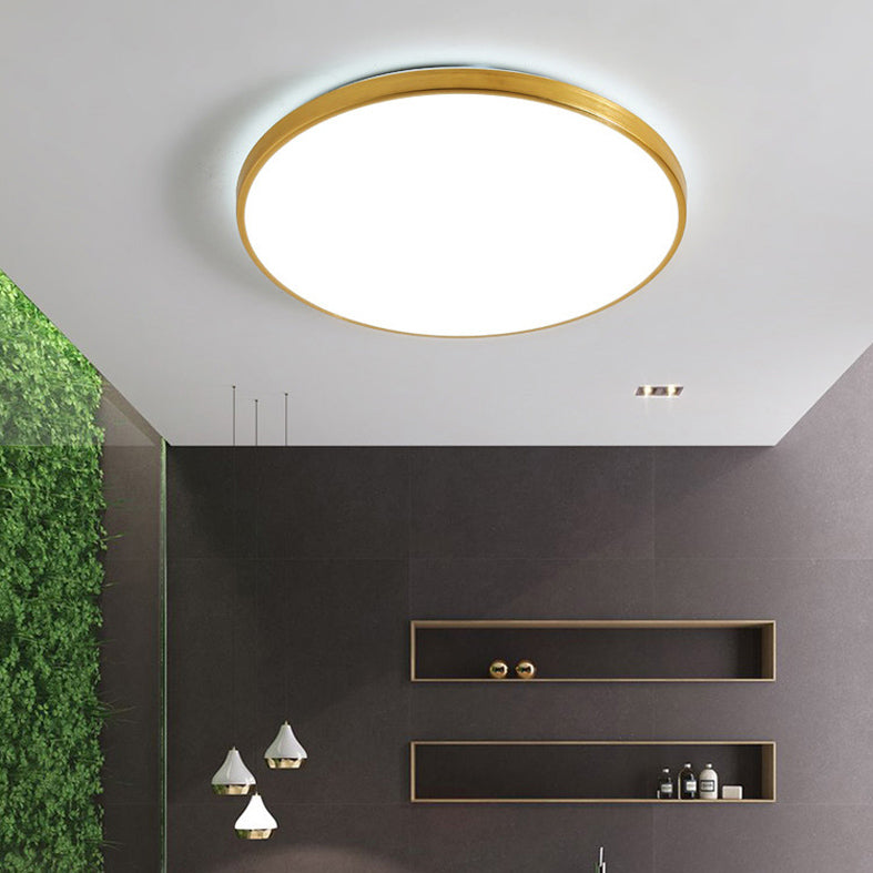 Modern Led Fixture Flush Mount Lighting Fixture Acrylic and Metal Lampshade for Corridor