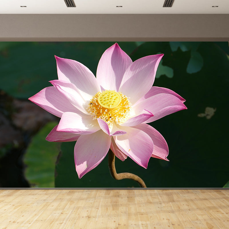 Pink Lotus Blossoming Moisture Resistant Wall Covering for Girls' Bedroom