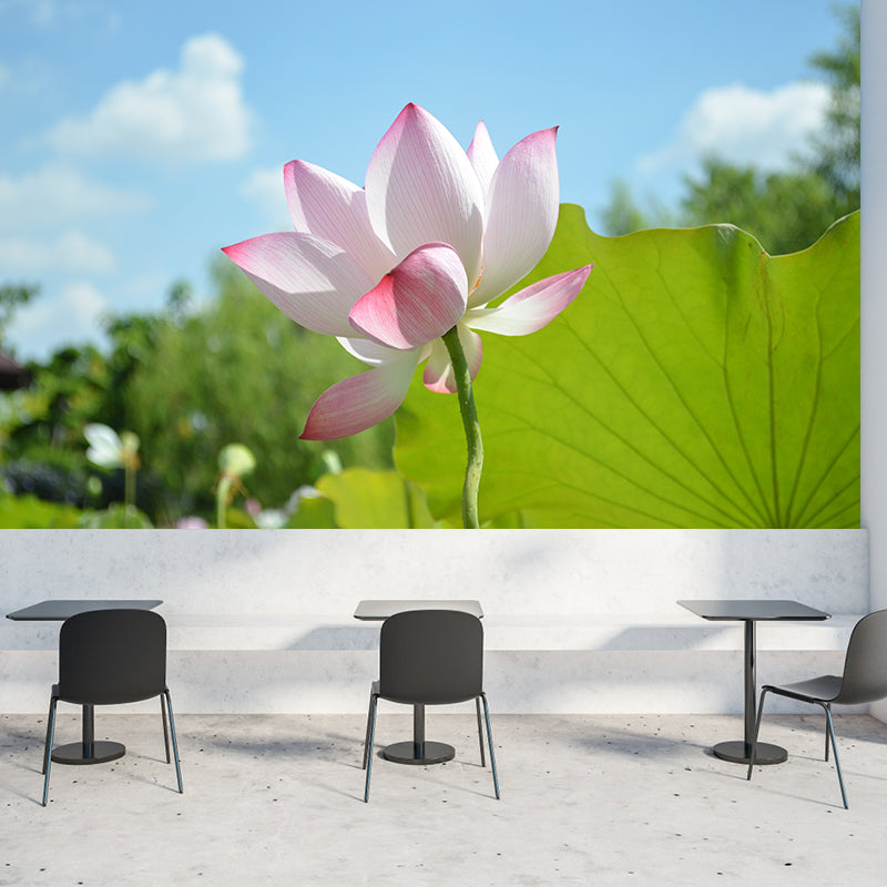 Pink Lotus Blossoming Moisture Resistant Wall Covering for Girls' Bedroom