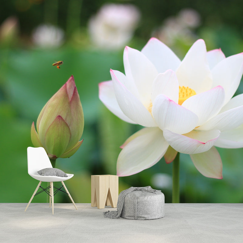 Lotus in Water Murals Flower Water Resistant Wall Covering for Gust Room