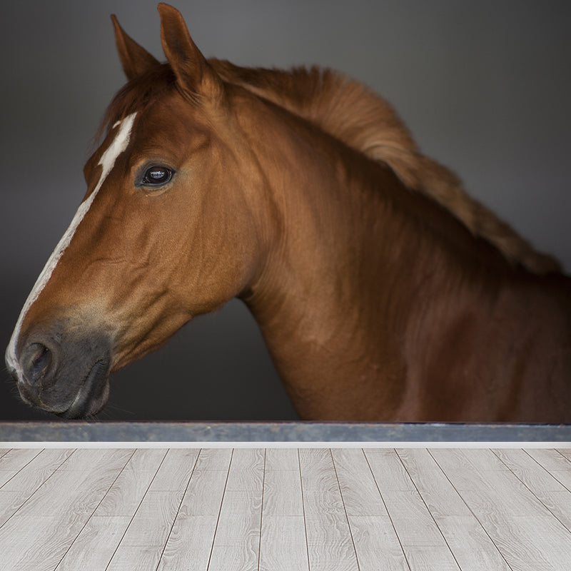 Horse Wall Paper Murals Wall Paper Murals for Home Moisture Resistant, Personalised Size