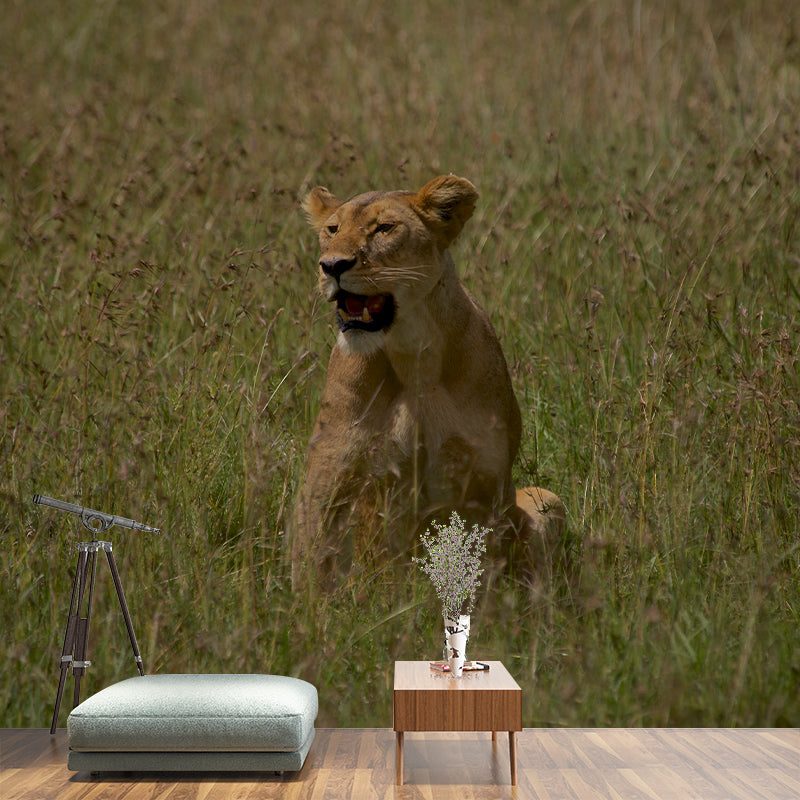 Ferocious Lion Wallpaper Murals Modern Wall Art for Sitting Room, Personalised Size