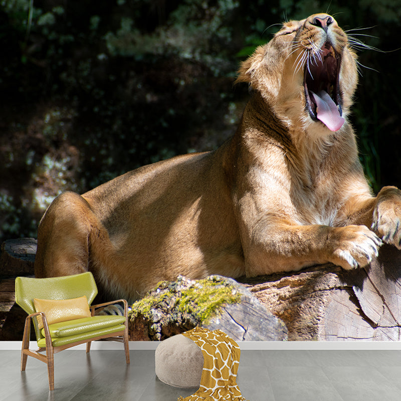 Ferocious Lion Wallpaper Murals Modern Wall Art for Sitting Room, Personalised Size