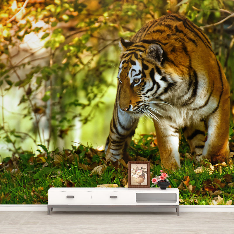 Tiger Modern Mural Decorative Sitting Room Wall Covering, Custom Size Available