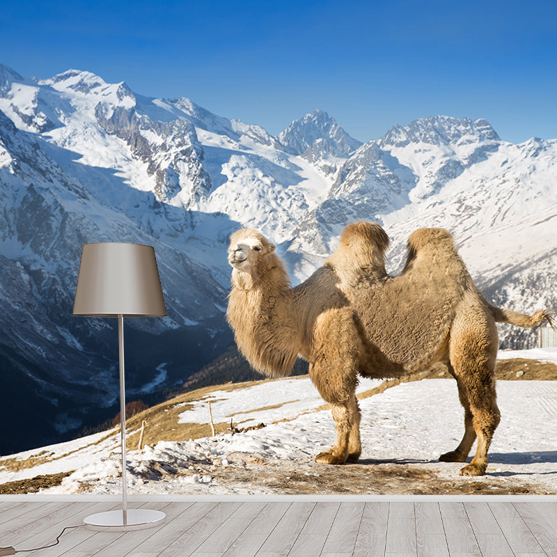 Desert Camel Animal Wall Mural Home Decorative Water Resistant, Personalised Size
