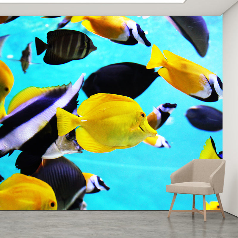 Tropical Underwater World Wallpaper Murals Water Resistant, Personalised Size