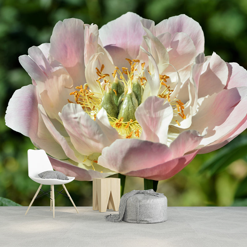 Delicate Peony Houses Mural Decal for Girls' Bedroom, Moisture Resistant