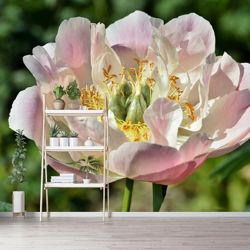 Delicate Peony Houses Mural Decal for Girls' Bedroom, Moisture Resistant