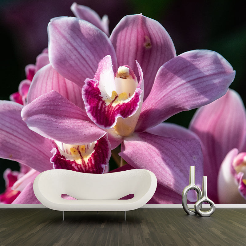 Orchid Murals Contemporary Washable Girls' Bedroom Wall Decor, Size Optional