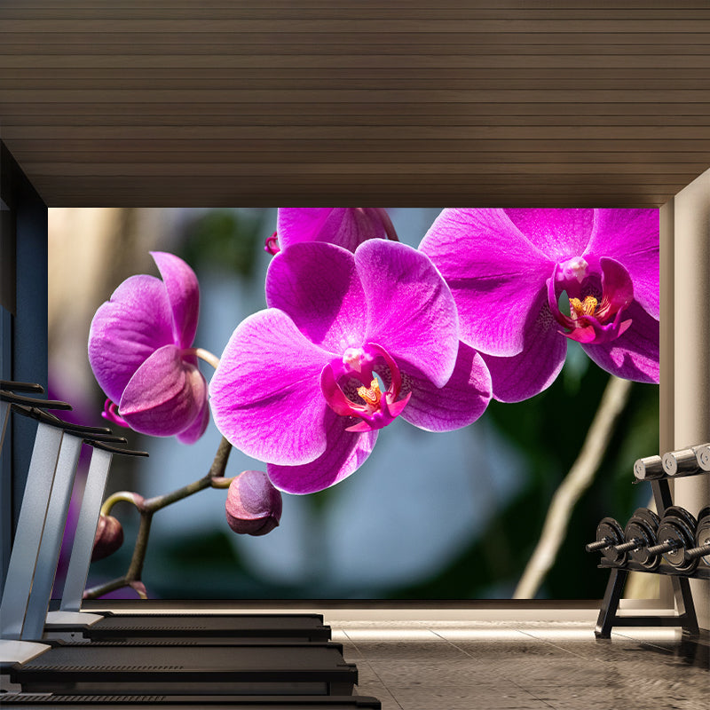 Orchid Murals Contemporary Washable Girls' Bedroom Wall Decor, Size Optional