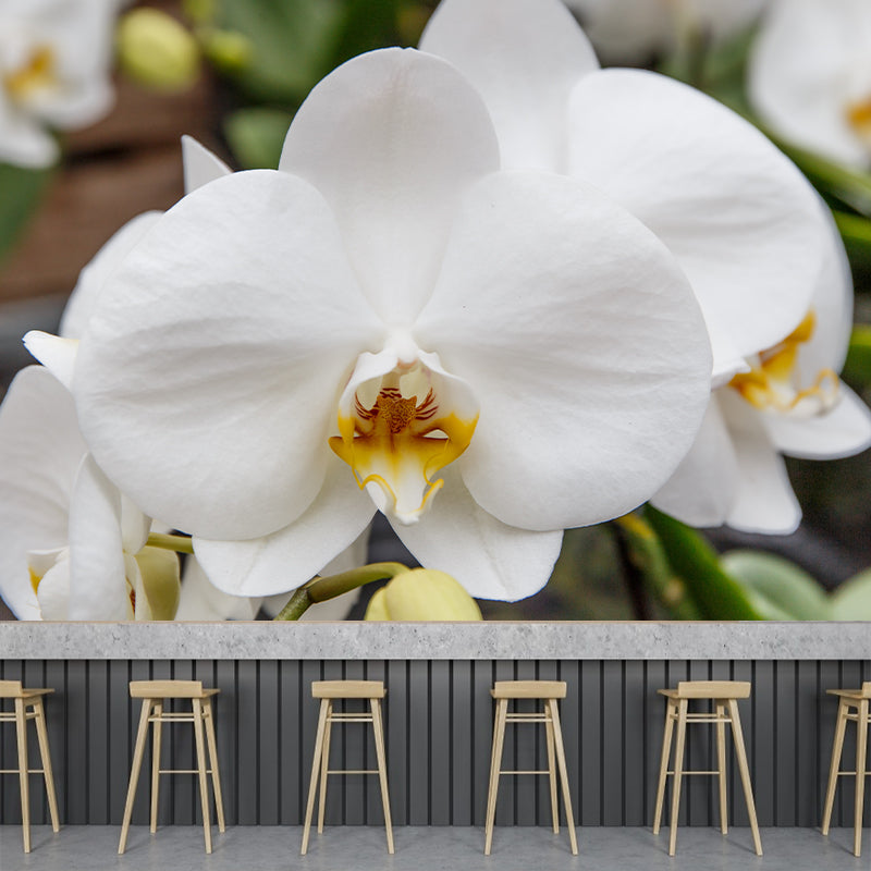 Orchid Murals Contemporary Washable Girls' Bedroom Wall Decor, Size Optional