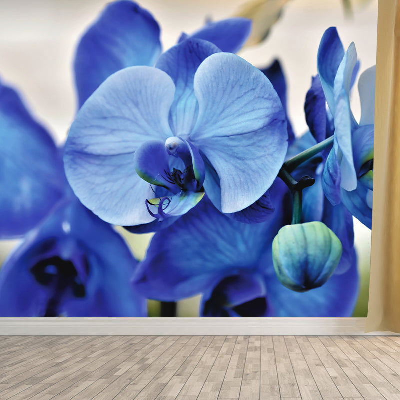 Beautiful Orchid Wall Murals for Home Decoration Stain Resistant, Personalised Size