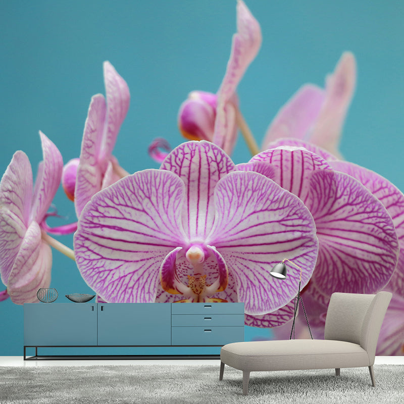 Beautiful Orchid Wall Murals for Home Decoration Stain Resistant, Personalised Size