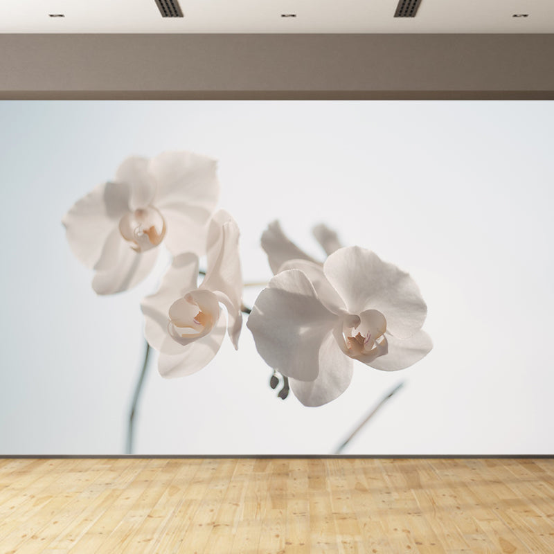 Beautiful Orchid Wall Murals for Home Decoration Stain Resistant, Personalised Size
