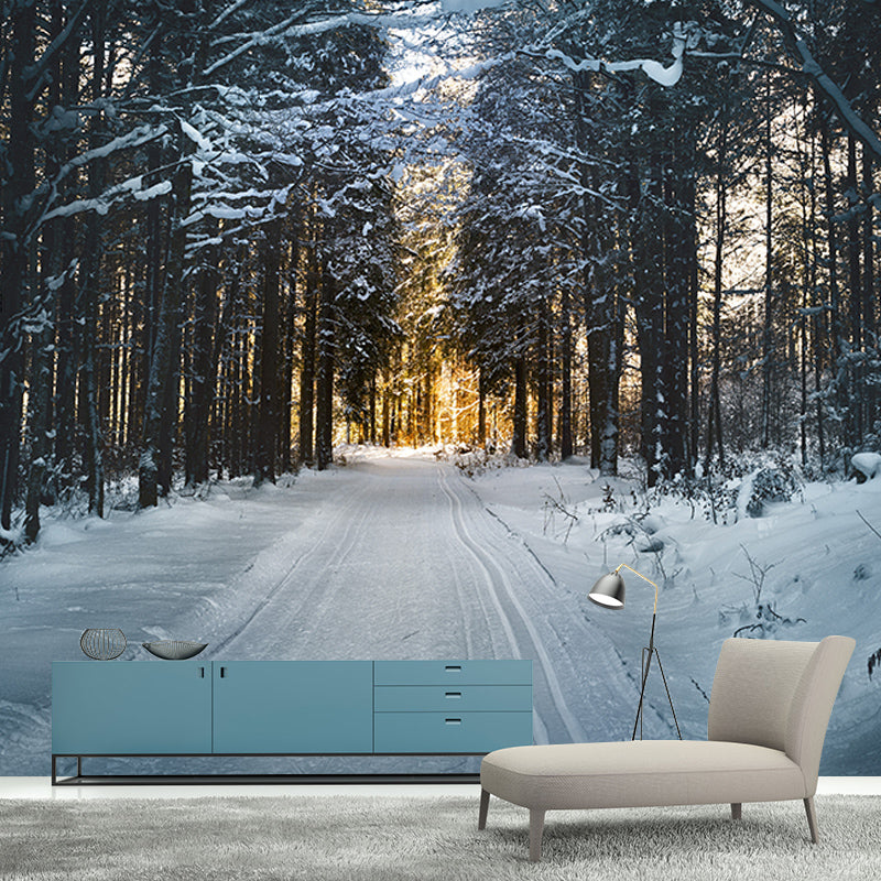 Full Size Water Resistant Forest Mural Wallpaper Modern Wall Decor, Made to Measure