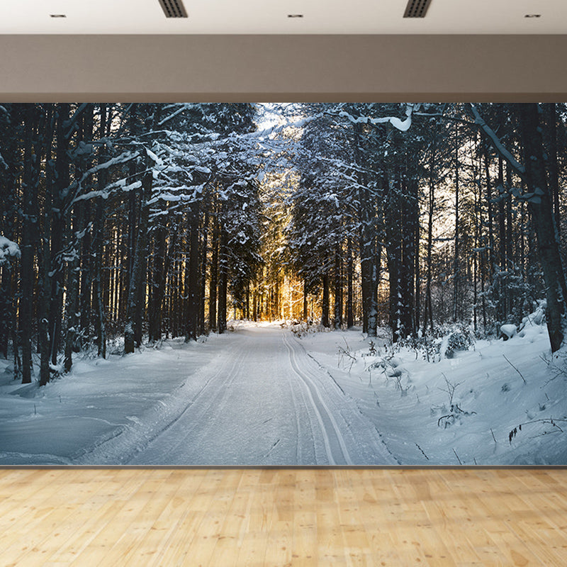 Full Size Water Resistant Forest Mural Wallpaper Modern Wall Decor, Made to Measure