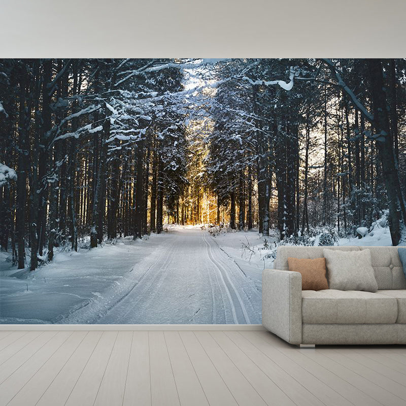 Full Size Water Resistant Forest Mural Wallpaper Modern Wall Decor, Made to Measure