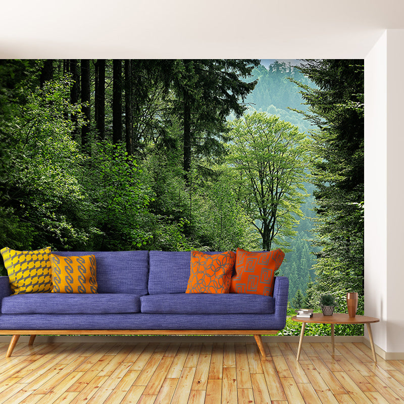 Forest Photo Wall Mural for Living Room Moisture Resistant, Customized Size