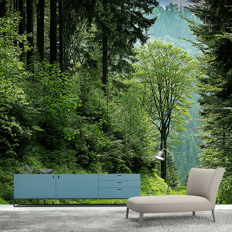 Forest Photo Wall Mural for Living Room Moisture Resistant, Customized Size