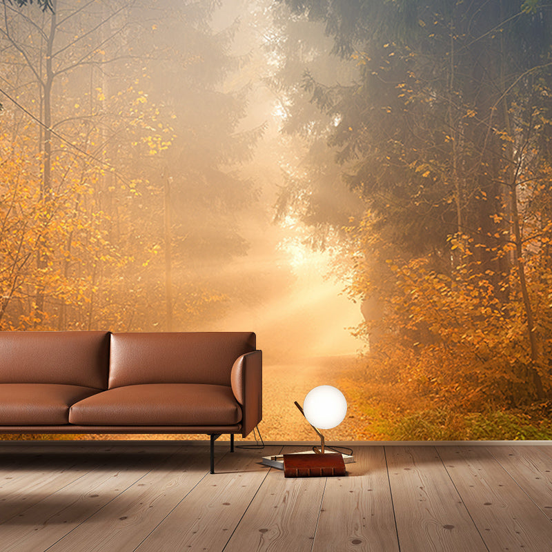 Forest Photo Wall Mural for Living Room Moisture Resistant, Customized Size
