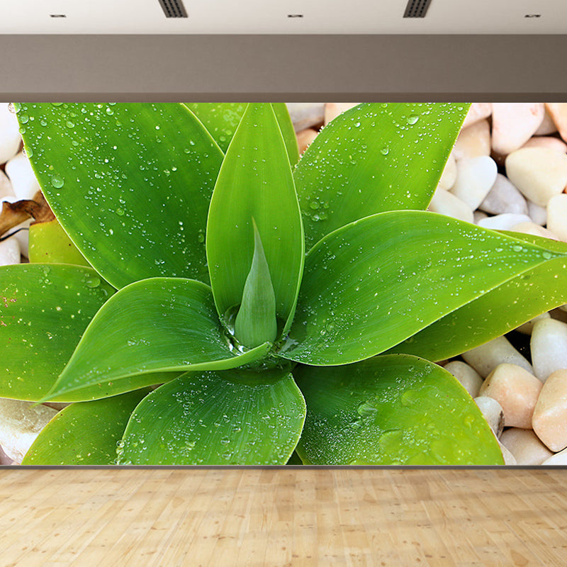 Green Plants Wall Murals Tropics Moisture Resistant Wall Covering for Living Room