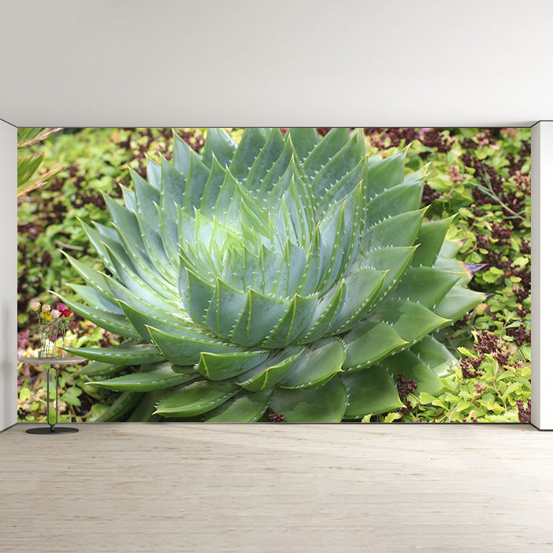 Green Plants Wall Murals Tropics Moisture Resistant Wall Covering for Living Room