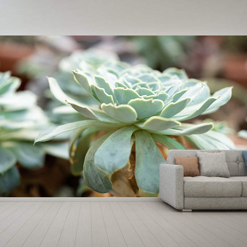 Green Plants Wall Murals Tropics Moisture Resistant Wall Covering for Living Room