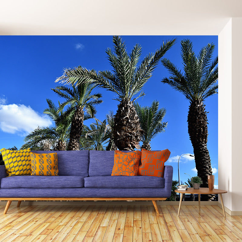 Tropical Palm Tree Wall Paper Murals Decoration for Gust Room, Made to Measure