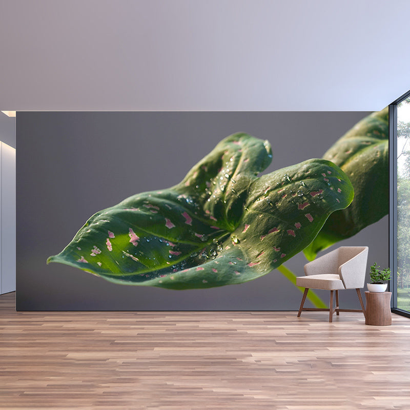 Plants Modern Stain Resistant Wall Decor for Living Room Bedroom, Made to Measure