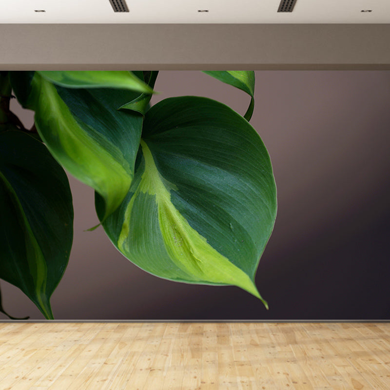 Plants Modern Stain Resistant Wall Decor for Living Room Bedroom, Made to Measure