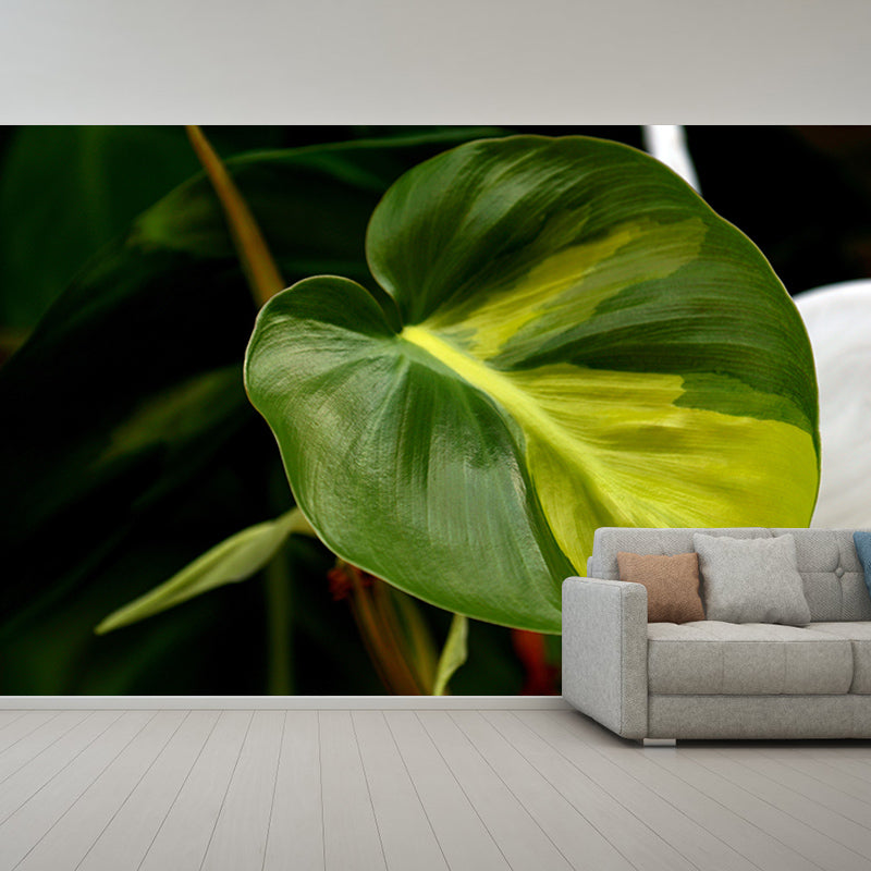 Plants Modern Stain Resistant Wall Decor for Living Room Bedroom, Made to Measure