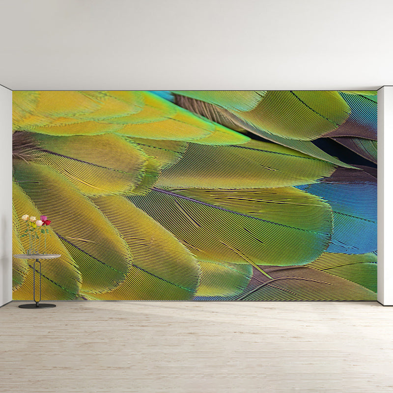 Parrot Feathers Mural Wallpaper for Sitting Room Colorful, Custom Size Available