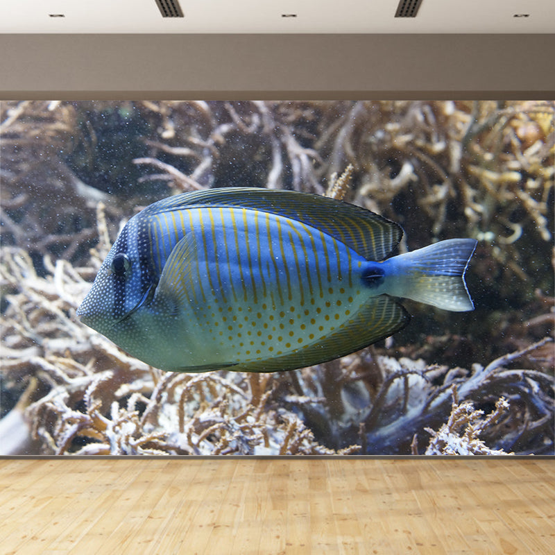 Tropical Seabed Mural Wallpaper for Aquarium Stain Resistant, Made to Measure