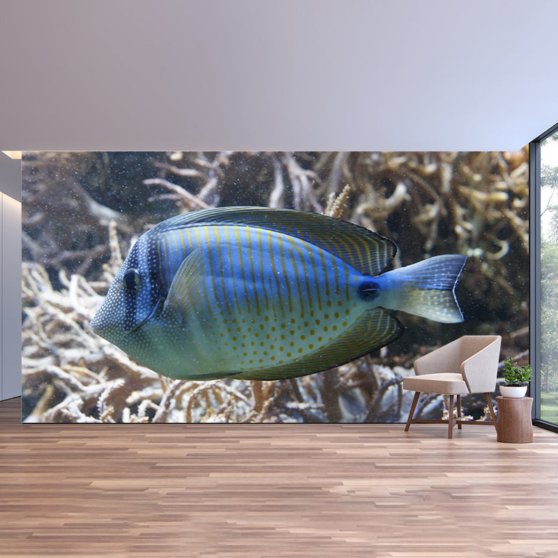 Tropical Seabed Mural Wallpaper for Aquarium Stain Resistant, Made to Measure